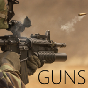 gun support