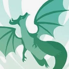 飞龙模拟3D下载