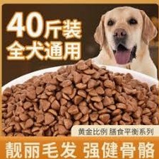 狗粮制作方法配方大全