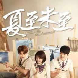 夏至未至演员表