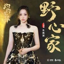野心家 张靓颖