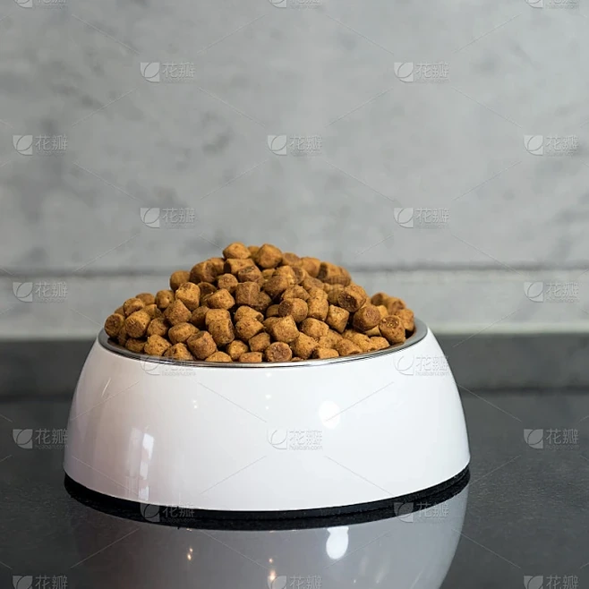这碗狗粮有点甜视频