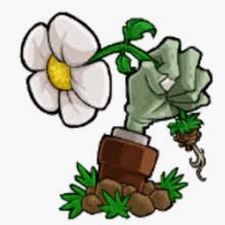 植物大战僵尸e版支线下载安装