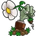 植物大战僵尸lz重制版下载