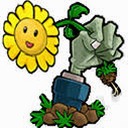 植物大战僵尸胆小菇之梦安装包