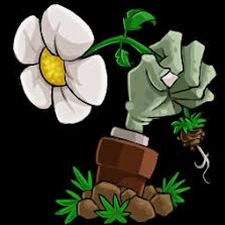 植物大战僵尸无名版1.2.5test37下载安装最新