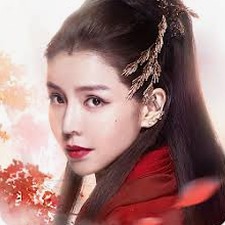 美人劫小说