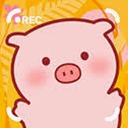 美食家小猪的大冒险攻略