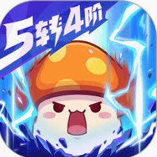 冒险岛官网2026