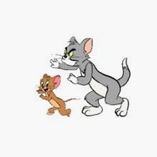 猫和老鼠动画片全集国语100集免费安装