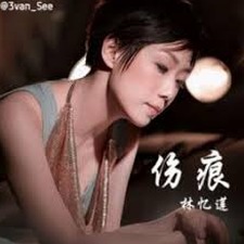 伤痕 歌词