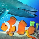 水族馆农场图片