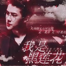 他说我是黑莲花副cp